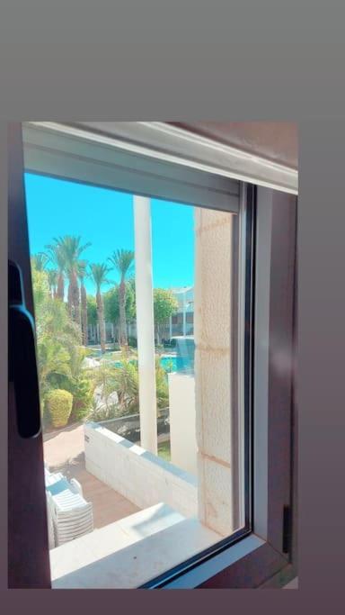 Garden And Pool At Royal Park * Eilat